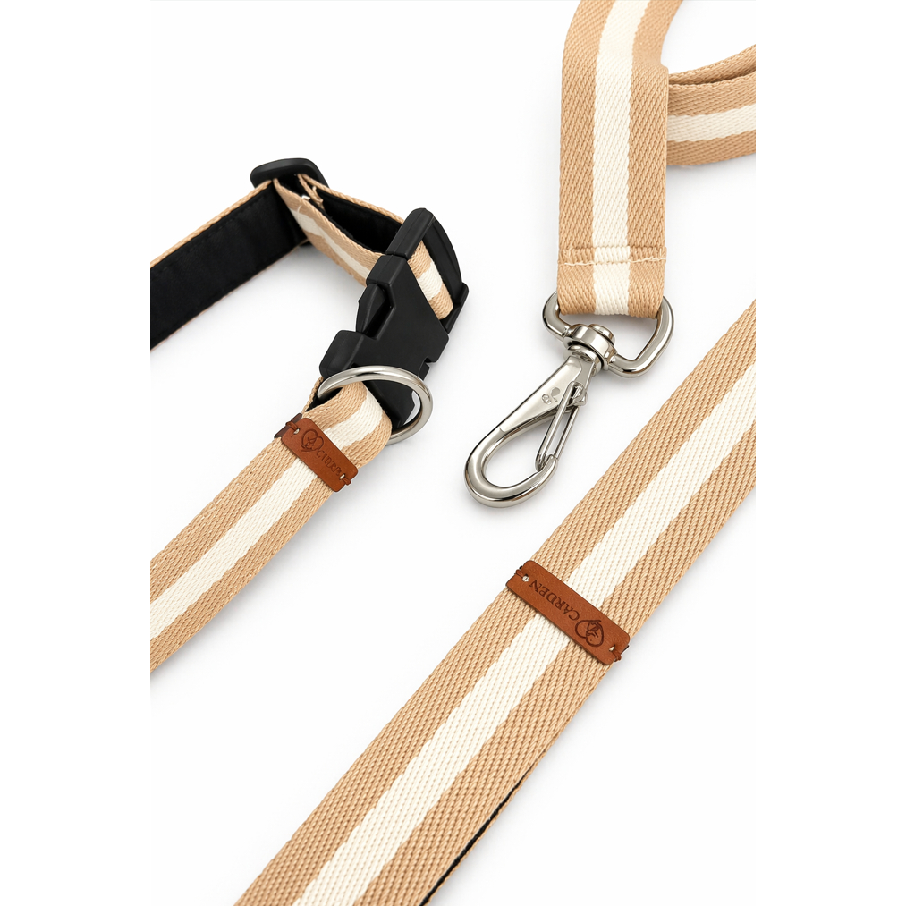 Kit Coleira e Guia 1,20m Conjunto para Cachorro Pet Premium Ajustável com Forro