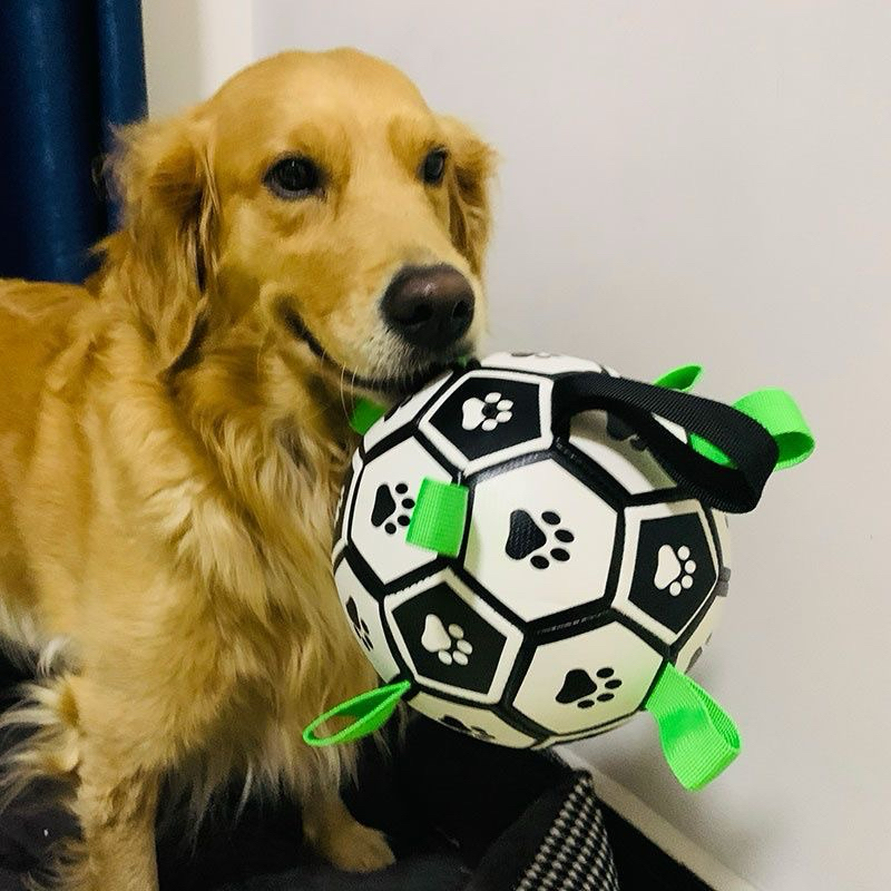 Brinquedo de futebol para animais de estimação, brinquedo para cães, brinquedo interativo fastbuy rio