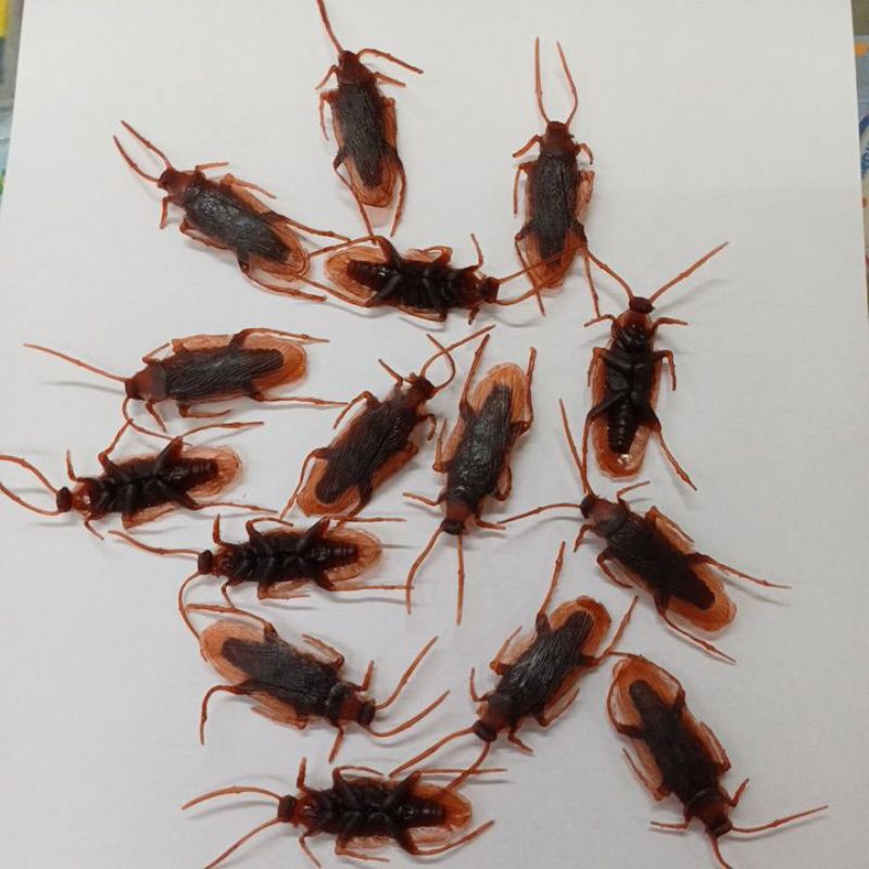 kit com 10 ou 20 unidades  inseto Decoração De Halloween Plástico.