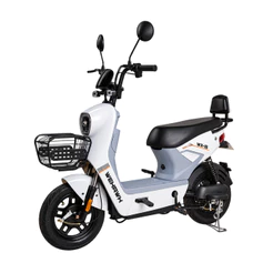 Bicicleta Elétrica WX-15 Wehawk 800W Bat Litio 48V 20AH Pré Montada