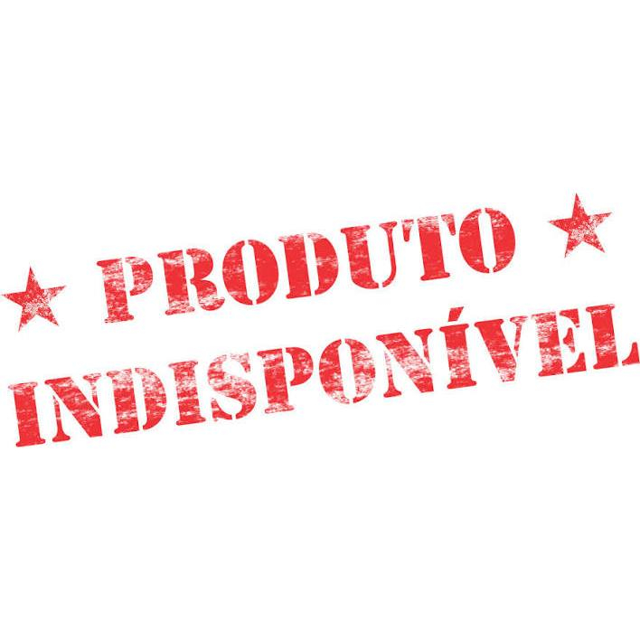 Rele Pisca 12v C/ Regulagem Seta Led 2 Pinos Universal Motos