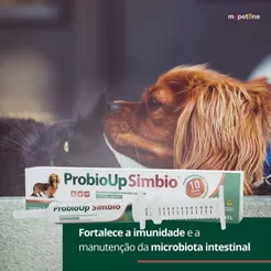 ProbioUp Vetnil Cat, Dog Ou Simbio 6g Ou 14g Suplemento Probiótico Intestinal Cães Gatos