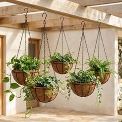 5 Vasos de Fibra de Coco 25cm Plantas Suspenso com Corrente