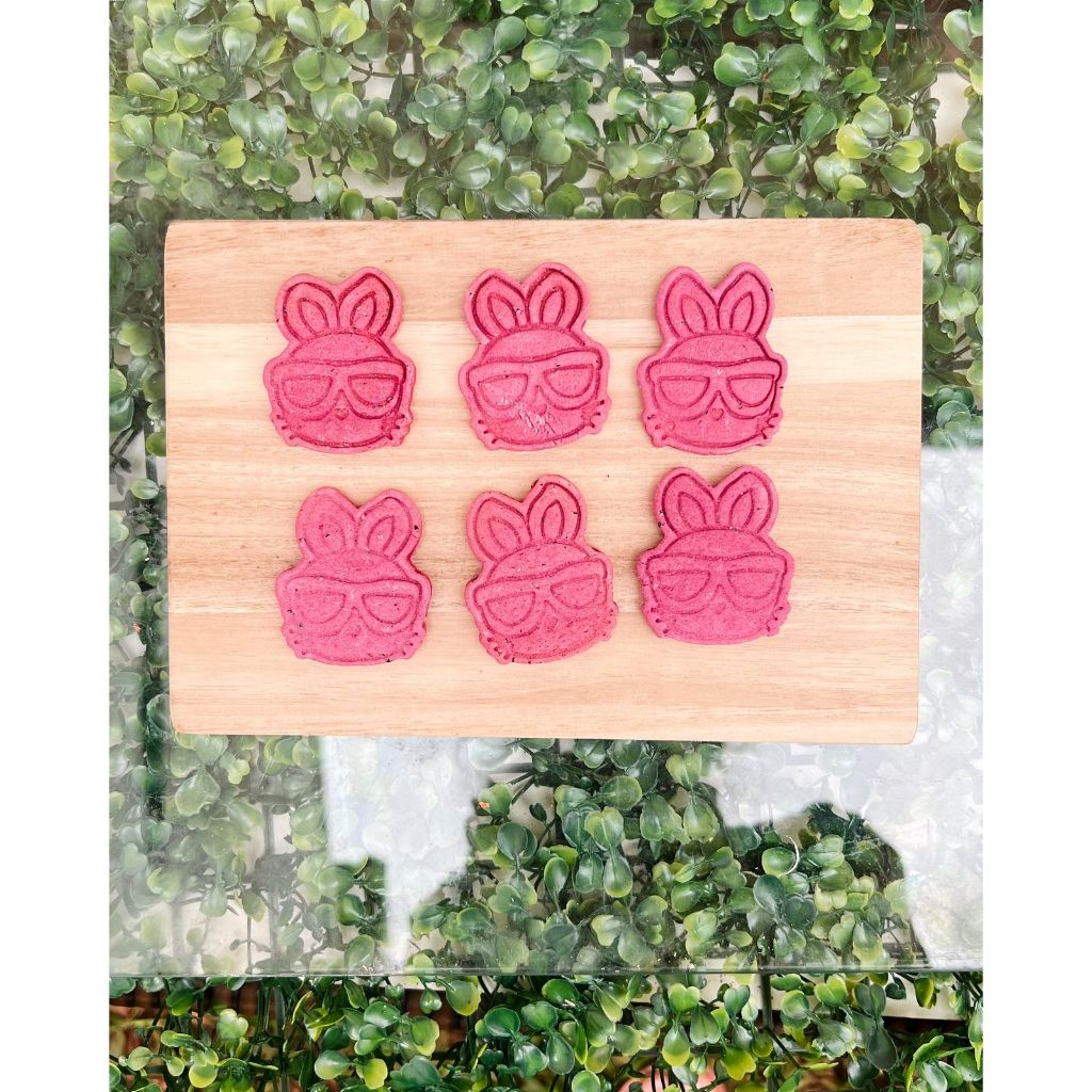 Biscoito de aveia coelho - 6unidades - Petisco Natural para coelhos e roedores.