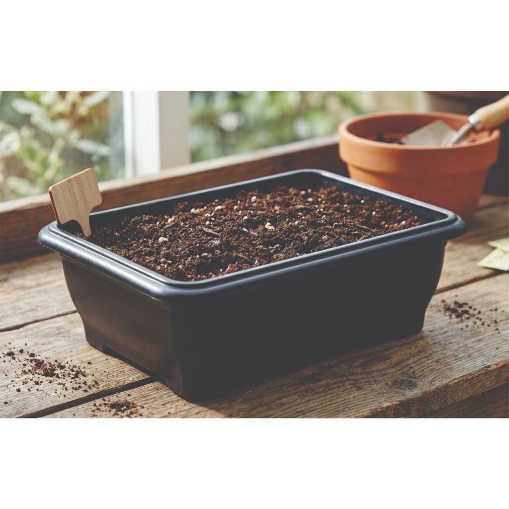 Kit 12 floreira retangular plástico preto 950 ml jardim jardinagem decoração área interna externa
