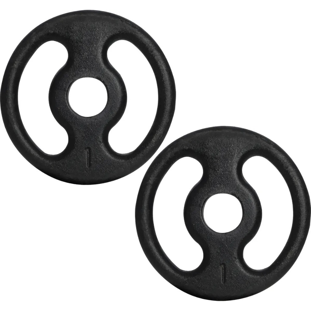 Par Anilha Pintada 1kg Musculação Academia Treino Funcional Peso Livre Casa Exercício Fitness em Oferta na Shopee