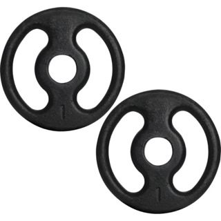 Par Anilha Pintada 1kg Musculação Academia Treino Funcional Peso Livre Casa Exercício Fitness em Oferta na Shopee