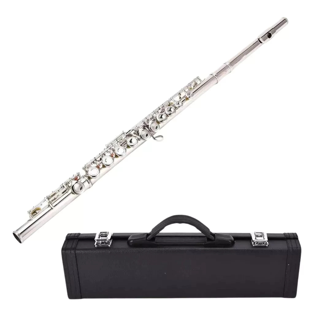 Flutes, Closed Hole C 16 Keys Flute Instrument, Student Flute for Beginner Advanced Player, with Cleaning Kit, Carry Bag