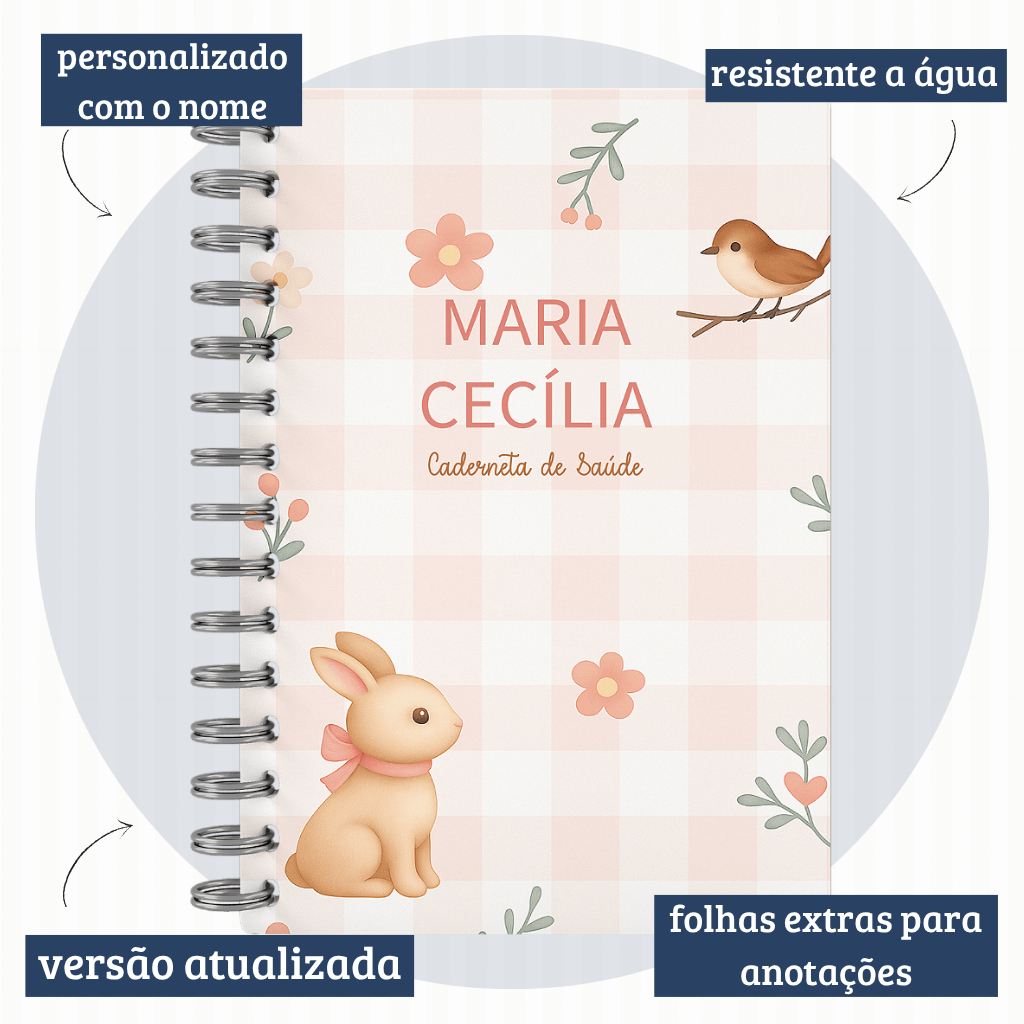 Caderneta de Saúde Vacinação Atualizada Personalizada Menino e Menina Vários Temas Capa Dura