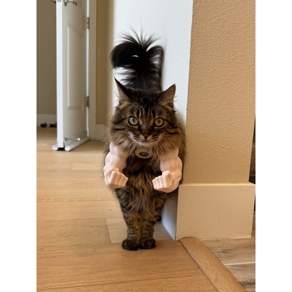 🐱 FANTASIA "BRAÇOS DO HULK" PARA GATO EM 3D: O SEU FELINO NUNCA FOI TÃO PODEROSO!