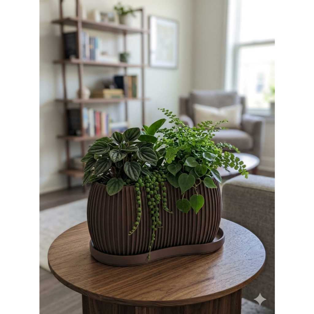 Vaso cachepô minimalista para cactos e suculentas moderno com prato recolhedor