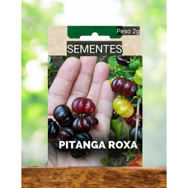 Sementes PITANGA Pitangueira ROXA GIGANTE doce Plante Horta vaso OFERTA