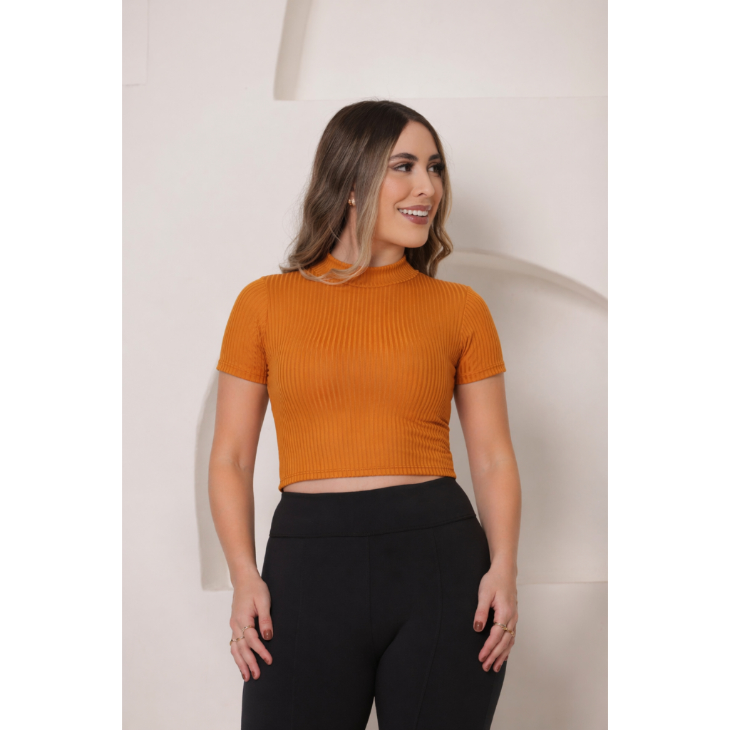 Blusinha Cropped Feminina Básica Canelado Premium Casual Moda Gringa  Manguinha Gola Alta Outono Verão