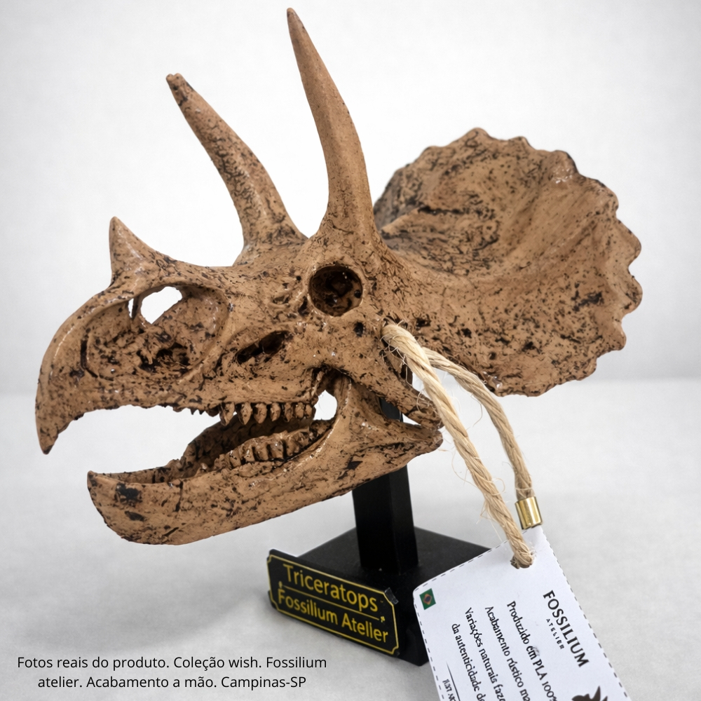 Crânio Decorativo Triceratops Fossilium Atelier com Pedestal.