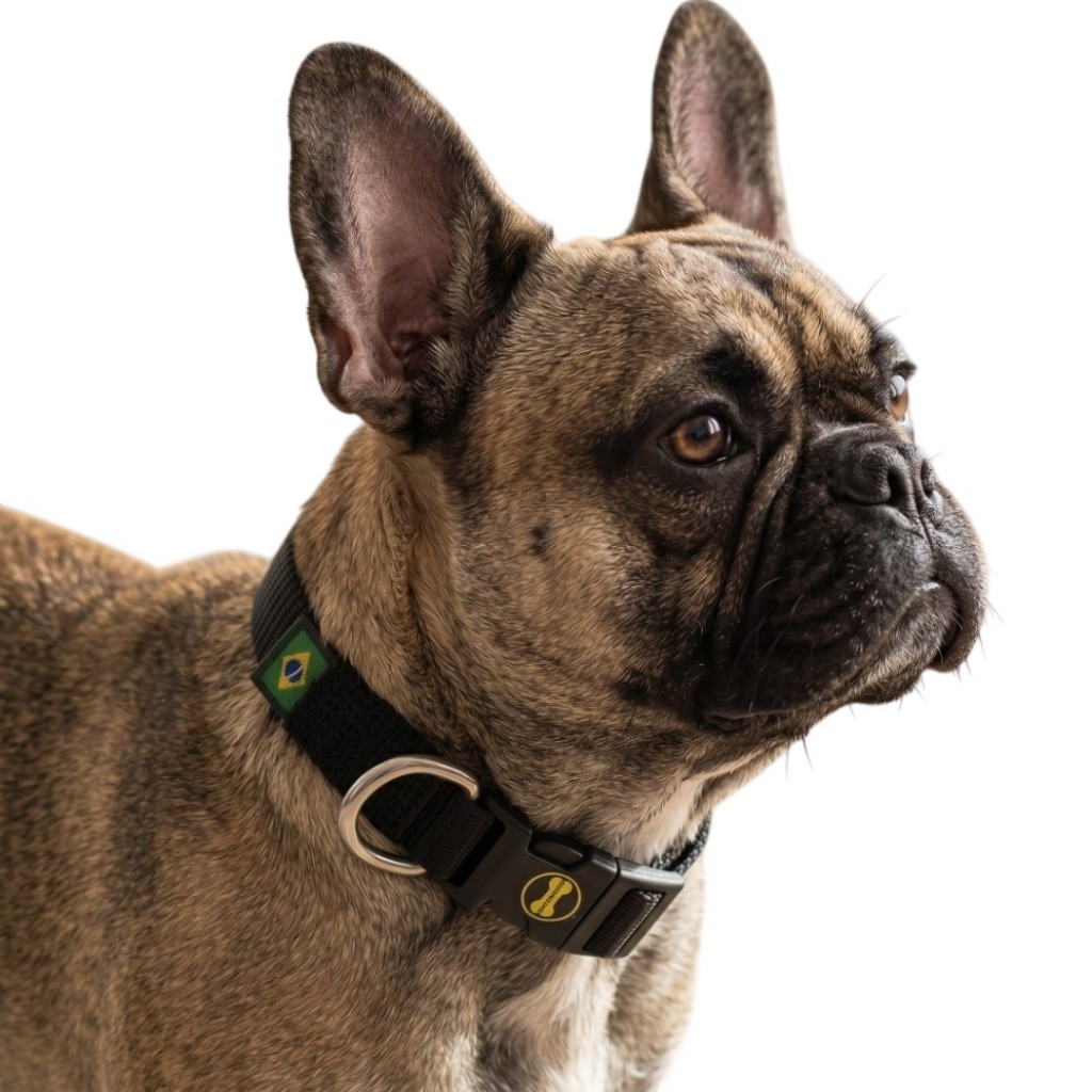 Coleira Pequena Preta Cachorro Pug Colar Cão Adestramento Filhotes Resistente Passeio Cães