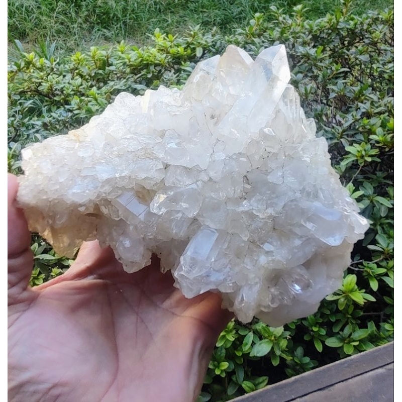 Cristal branco,Drusa, Coleção, Pinha, peça: 1.750 kg,14 cm altura, 12 cm de largura e 9,5 cm de altura.Raridade.