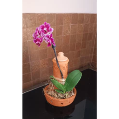 Vaso De Barro Enraizador Para Oquídea Pau de Barro Autoirrigável Cerâmica
