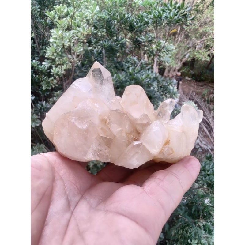 Drusa Cristal Branco Lemúria Natural 454gr Peça Rara Coleção Reiki Decorativa ✨