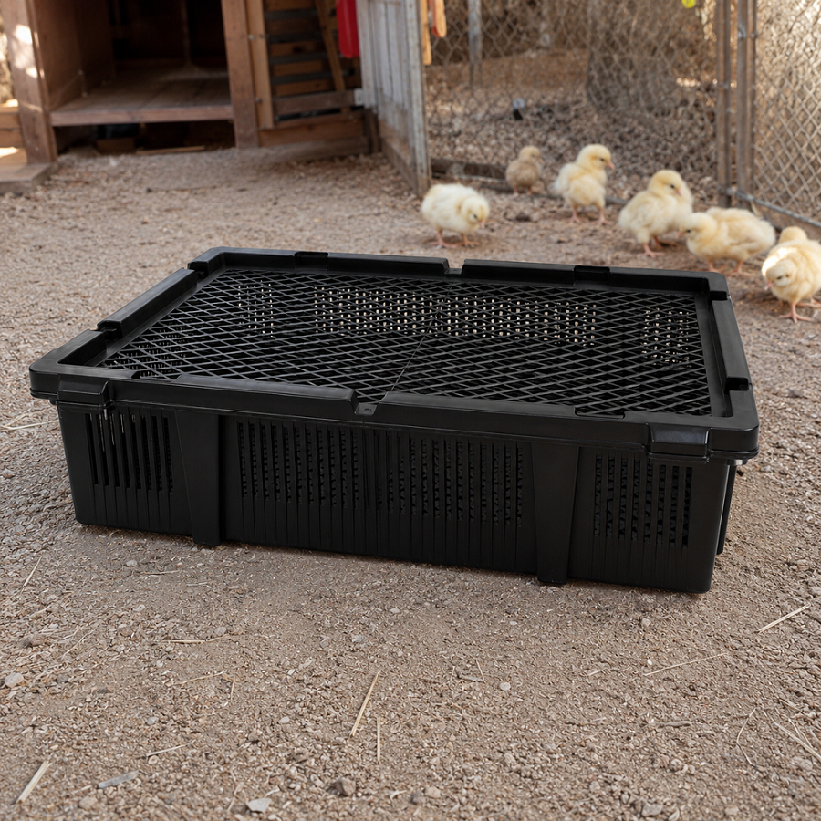 Caixa Transporte Pintinho Plástica C/ Tampa Ventilada Granja 40x58x13,5cm