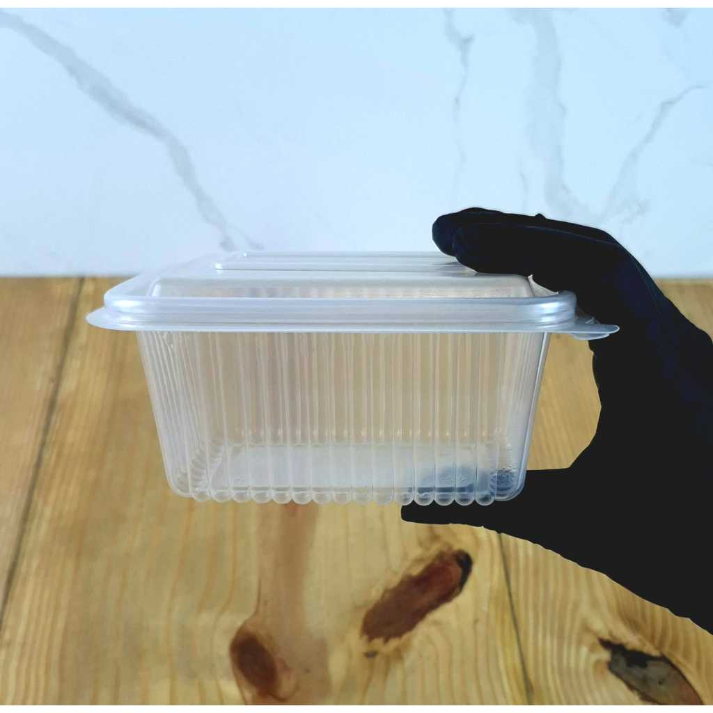 Pote Retangular 500ml Delivery BPA Free c/Tampa Articulada Rioplastic Linha Freezer e Microondas