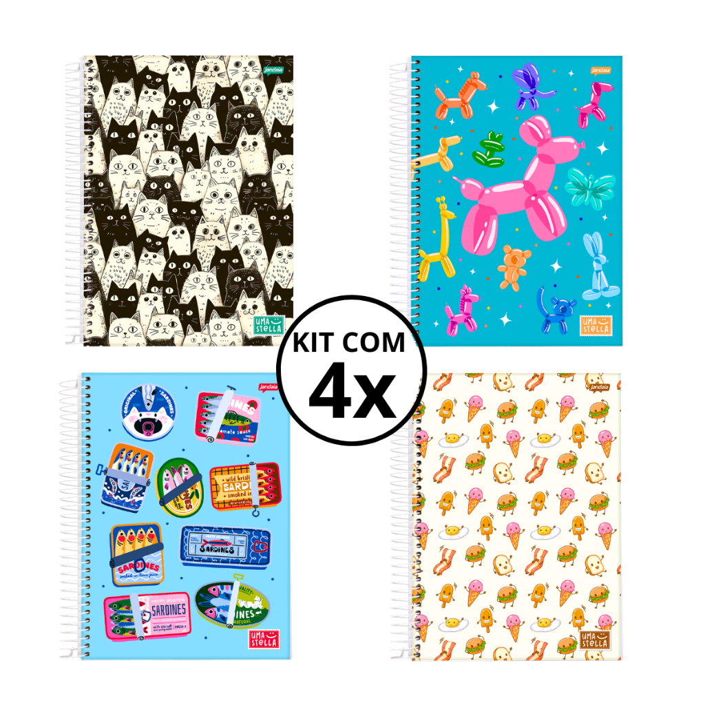 Kit 04 Cadernos Universitário 15 Matérias 240 Folhas Stella - Jandaia