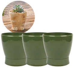 Vaso para Suculenta Flores Pequeno Anti Dengue Prato Rosqueado Cacto