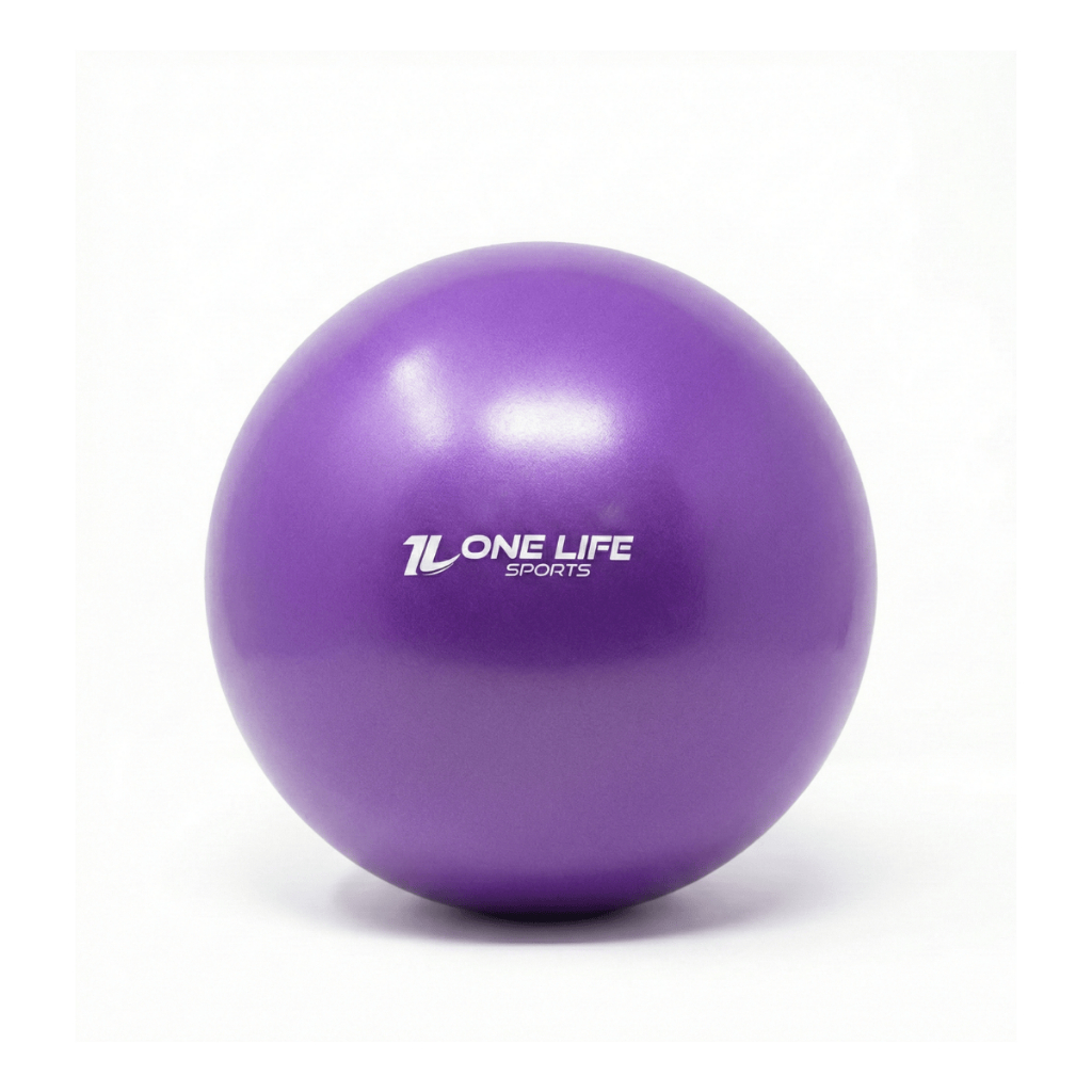Overball 25cm Toning Ball One Life Sports® | Fisioterapia e Reabilitação em Oferta na Shopee