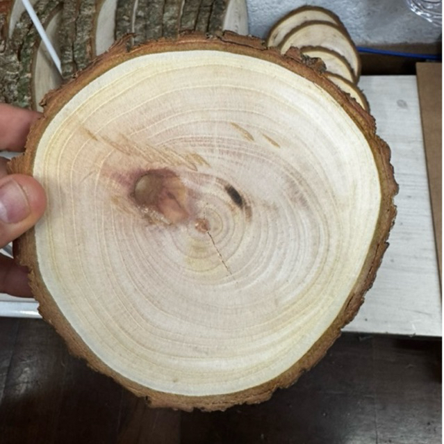 Bolacha de Madeira Cedro Natural Lixada 20CM | Decoração Festas Casamento