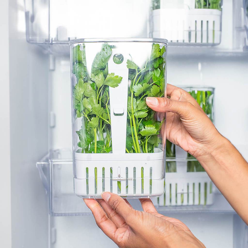 Organizador de Geladeira Porta Temperos Clear Fresh Cozinha Porta Condimentos em Oferta na Shopee