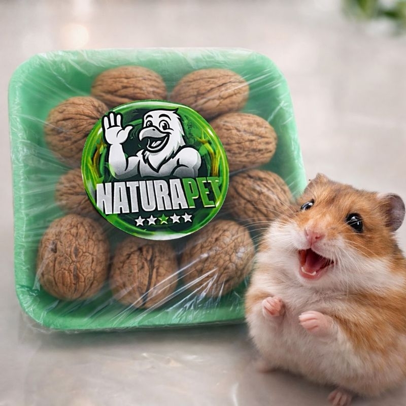 petisco para roedores Hamster Gerbil  para Desgaste dos dentes 4 unidades em Oferta na Shopee