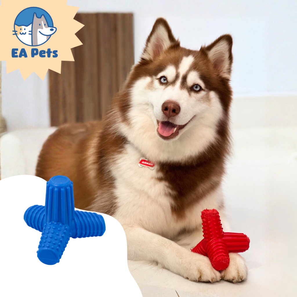 Mordedor Em Nylon Da Pet Games 4Dogs Super Resistente Brinquedo Seguro Cão Durável Cachorro