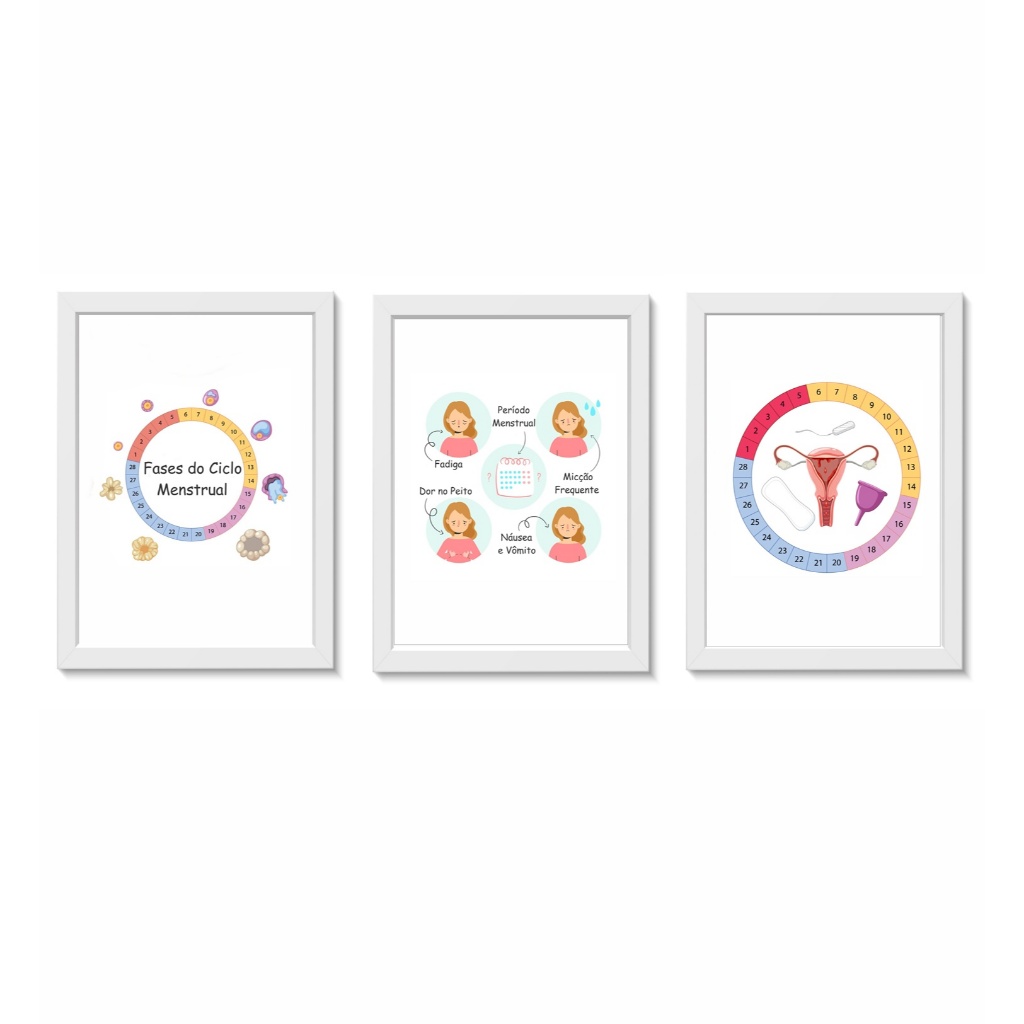 Kit 3 Quadros Decorativos Ciclo Menstrual Ginecologia Molduras 20x30cm Madeira Vidro Cor Brancas