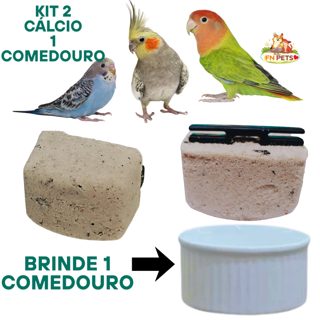 2 PEDRINHA DE CÁLCIO + 1 COMEDOURO PÁSSARO CALOPSITA | NUTRIÇÃO, SAÚDE E PRATICIDADE PARA AVES