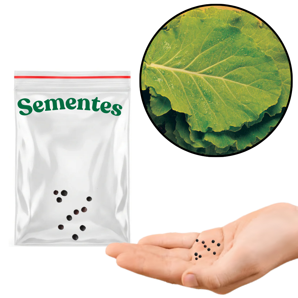 Sementes S34 Couve Manteiga da Geórgia Sua Horta Fresca Começa Aqui Colha Saúde e Sabor Clima em Oferta na Shopee