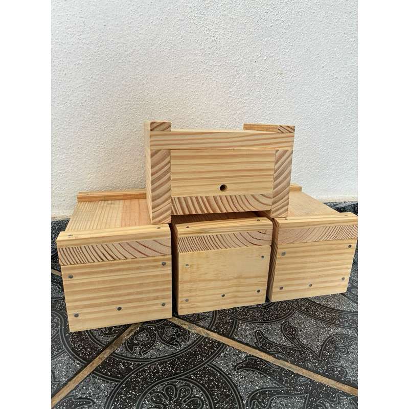 Caixa bau para abelha sem ferrao (asf) ideal para abelhas mirins