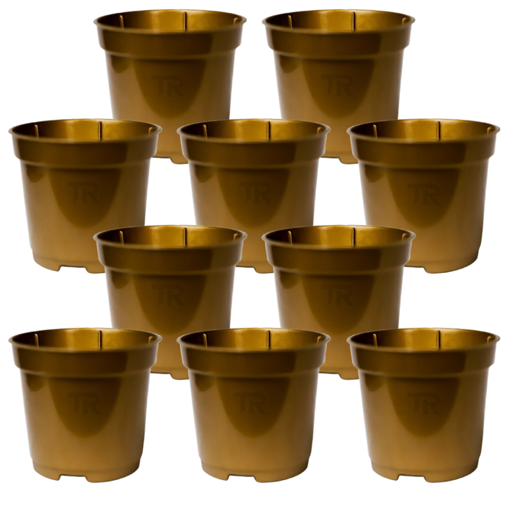 kit 10 vasinho pote 6 Dourado com volume de 80ml para mini plantas cactos mudas e suculentas