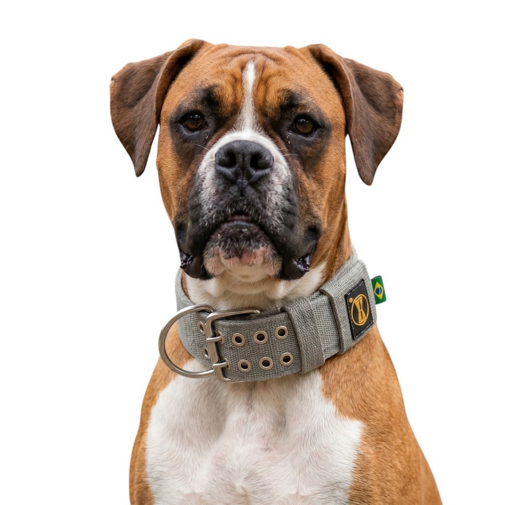 Coleira Cachorro Boxer Grande Cinza Amorosso Bull Terrier Mastim Fila Dogo Dogue Pastor Dobermann