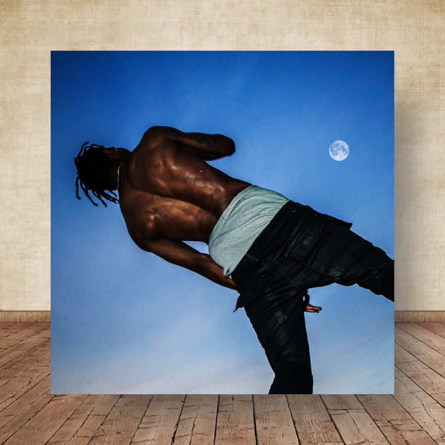 Quadro Placa Decorativa Travis Scott Albuns de hip-hop, trap, rap LP Disco decoração