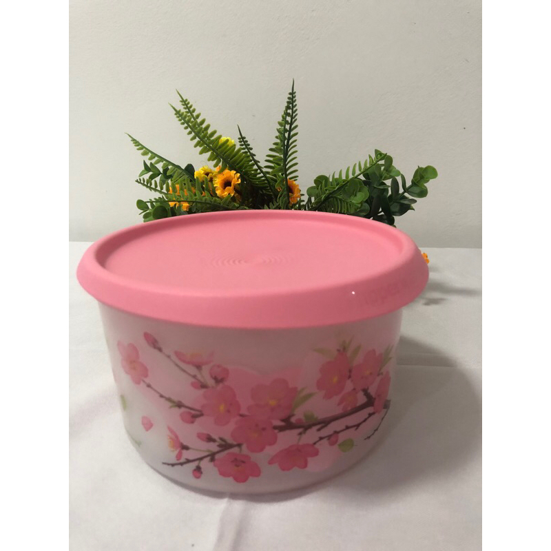 Tupperware Pote Master Mágico Mestre Churrasqueiro 1,7 litros