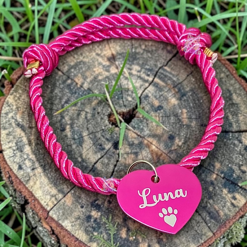 Colar Gato Personalizado com Nome Coleira para Gato Cachorro Pequeno