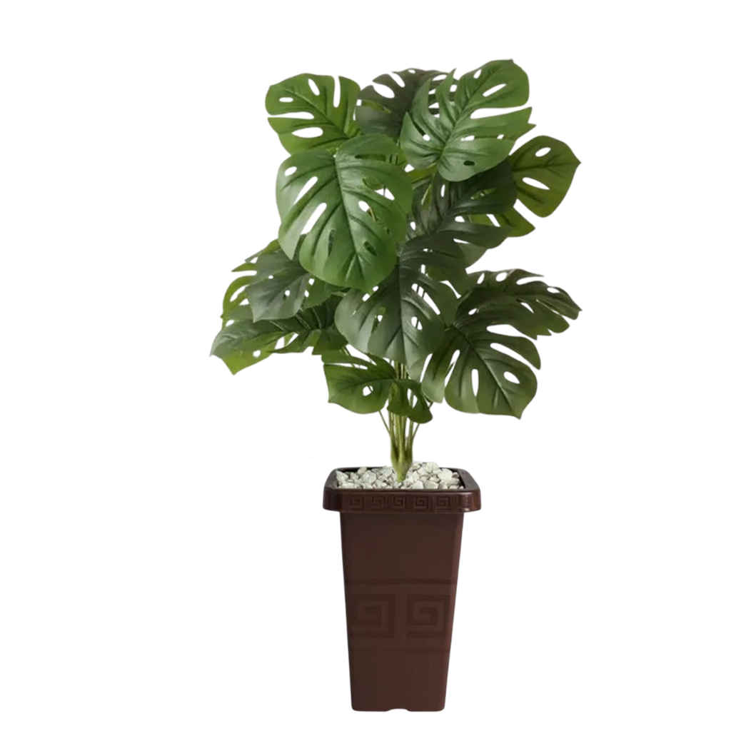 Planta Artificial Flores Costela de Adão + Vaso Decorativo Grande Rattan Decoração Enfeite Sala Casa