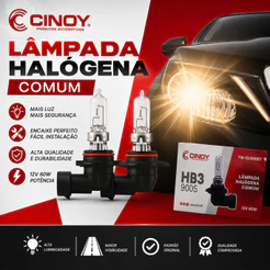 Par Lâmpadas Halógenas Comum Farol Alto Baixo Hb3 12v 60w