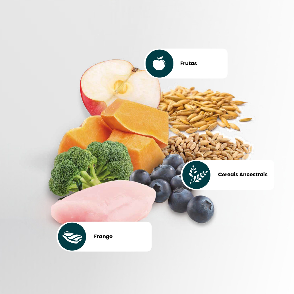 N&d Ancestral Selection Cães Filhote Maxi Giant 15,0kg — imagem 2 de 2