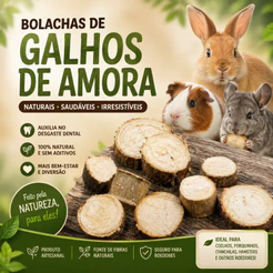 Bolacha de amoreira, brinquedo para hamster, porquinho da india e coelhos