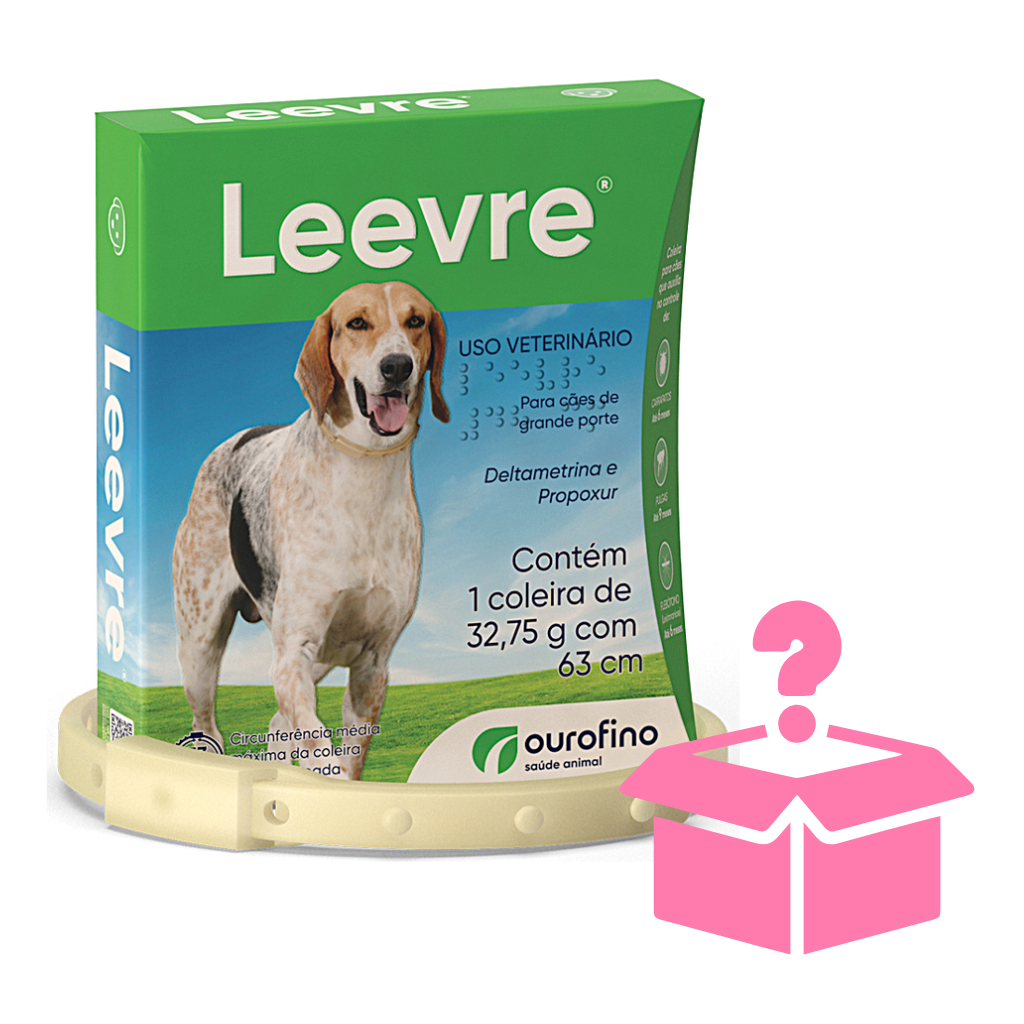 Coleira Leevre 32,75g Com 63cm + Brinde Surpresa