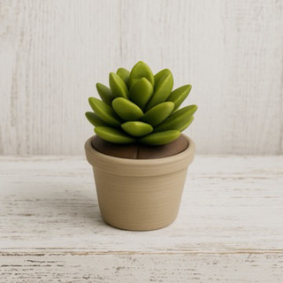 Vaso para suculentas, cactos e plantas pequenas | Vaso decorativo | Mini vaso | Decoração para casa