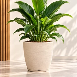 Vaso para Planta Em Polietileno Redondo Bojo Escovado N2 37X31 com Prato Coletor