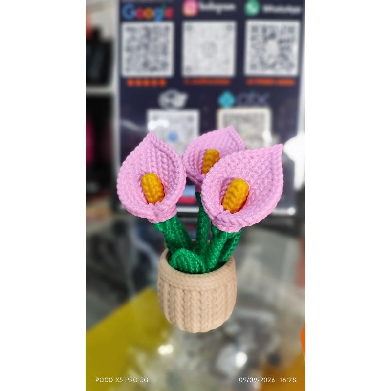 Vaso de planta copo de leite em dois tons branco e rosa
