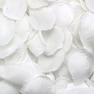 Kit até 2000 Pétalas de Rosas Artificiais Brancas Decoração Casamento Festas