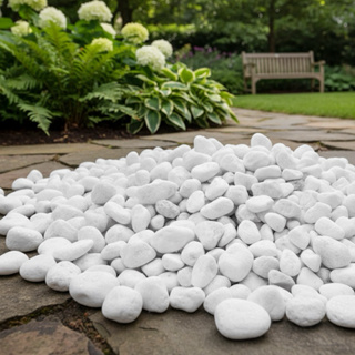 Pedra branca dolomita seixo- pacote 2kg até 6Kg em Oferta na Shopee